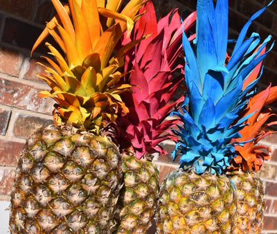 Pretty Painted Pineapples