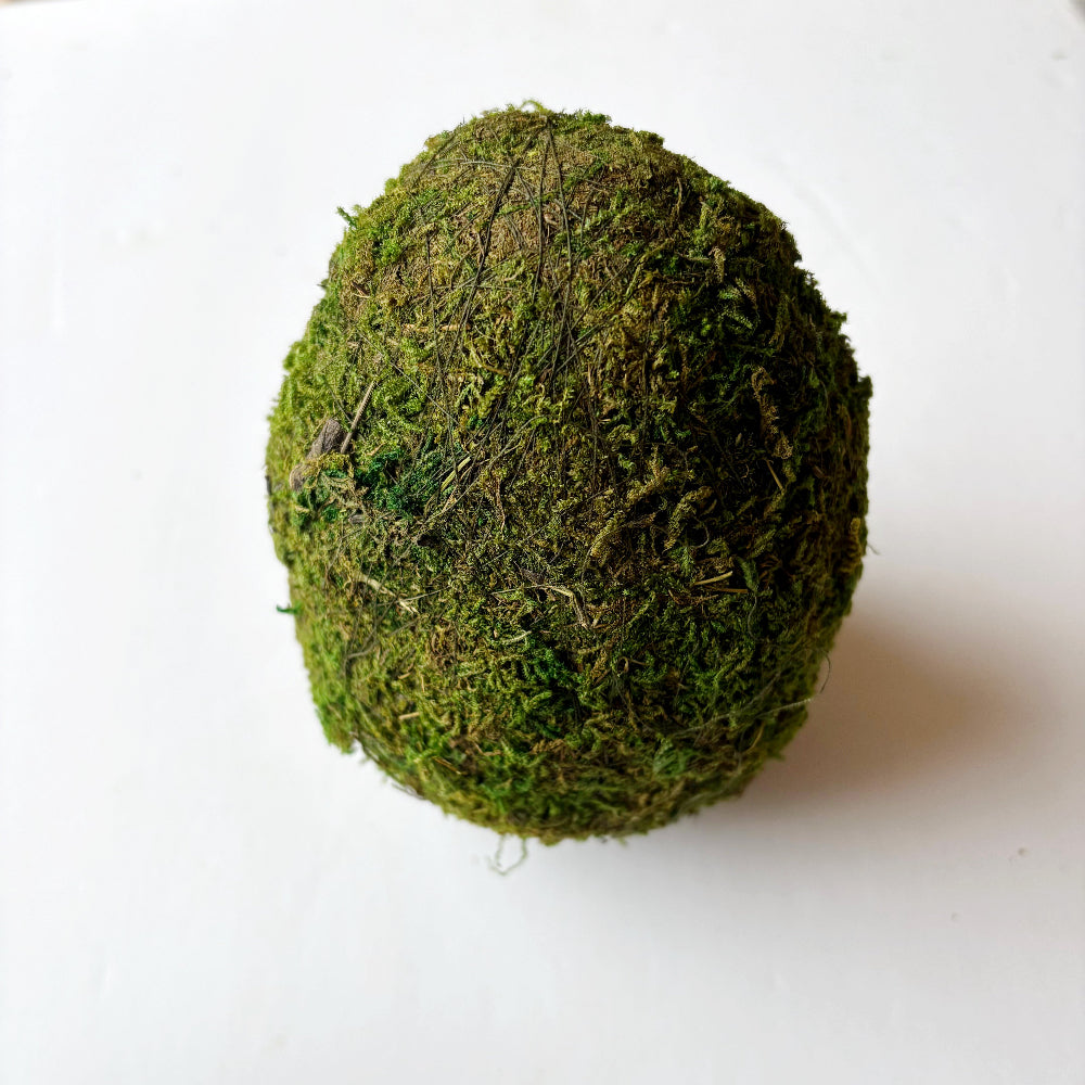 Mossy Egg in Green