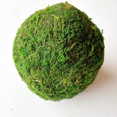 Mossy Egg in Green