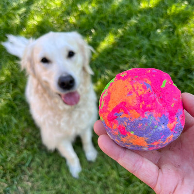 Wunderball Dog Toy