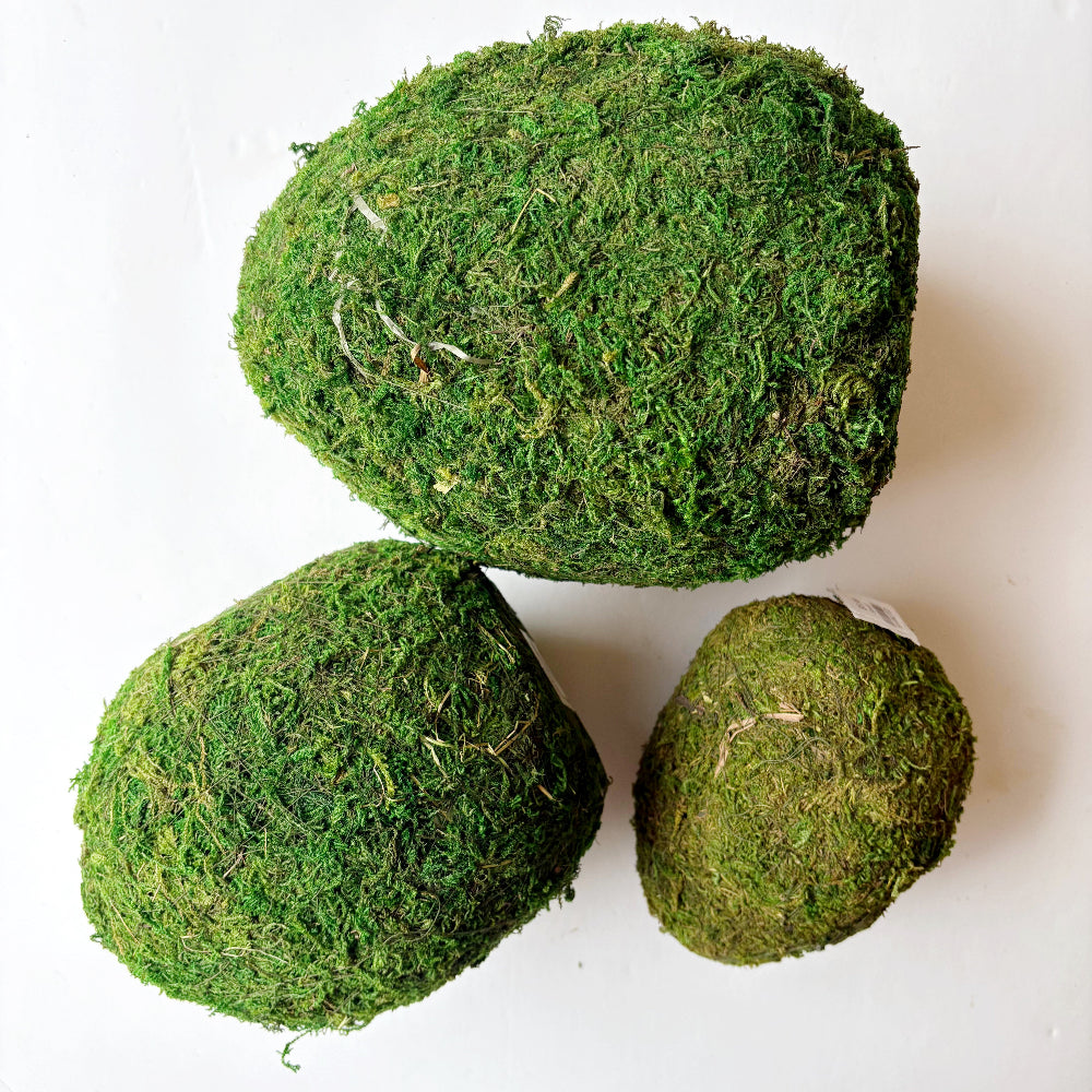 Mossy Egg in Green