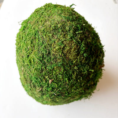 Mossy Egg in Green