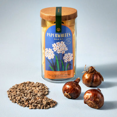 Winter Flower Bulb Kits