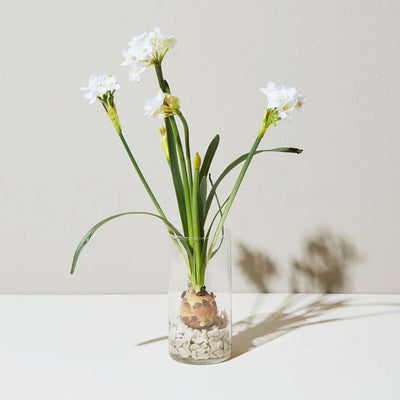 Winter Flower Bulb Kits