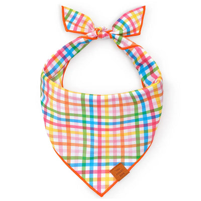 Rainbow Gingham Dog Bandana