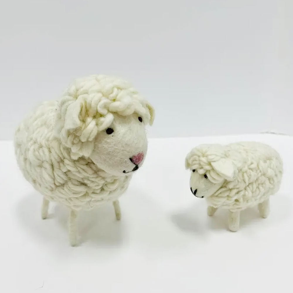 Fluffy Wool Sheep