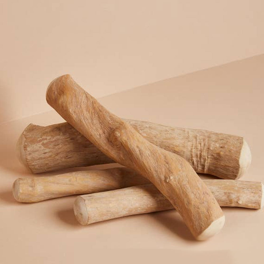 Wood fashion chew sticks for dogs