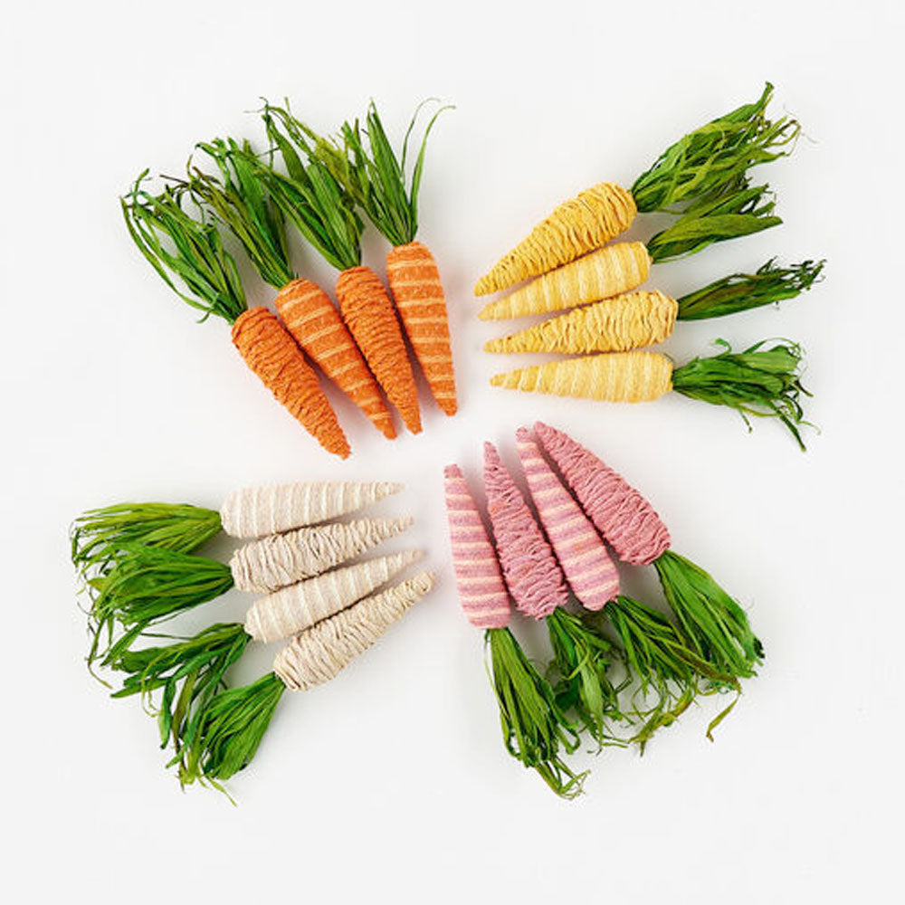 Colorful Carrots (set of 4)